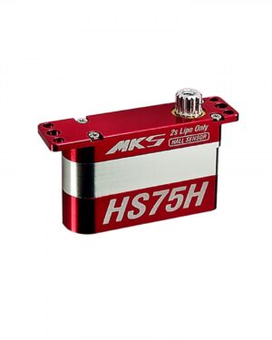 MKS HS75H